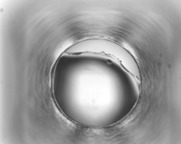 X0000088911095200706221923