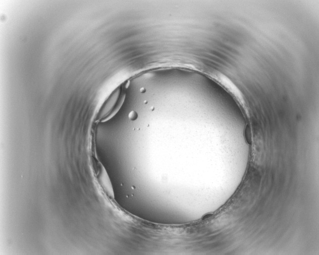 X0000088911096200706221923