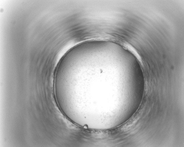 X0000088911099200706221923