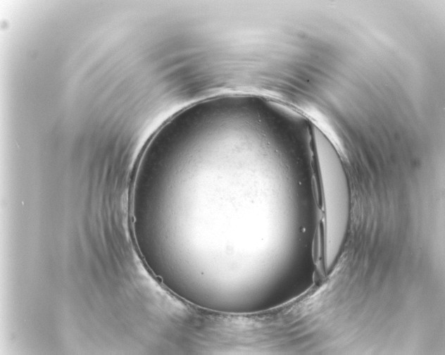 X0000088911100200706221923