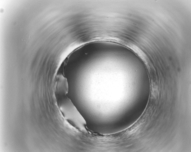 X0000088911102200706221923