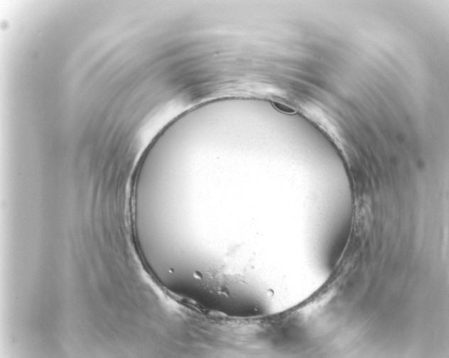 X0000088911103200706221923