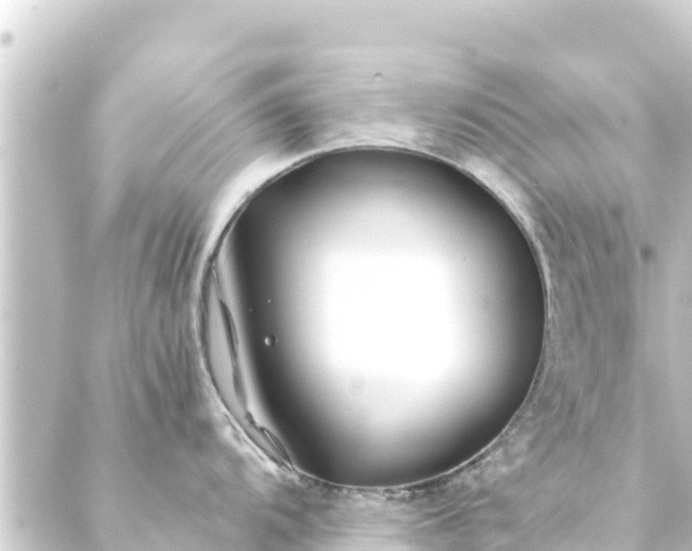 X0000088911104200706221923