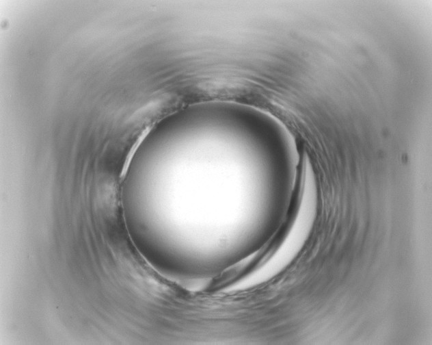 X0000088911108200706221922