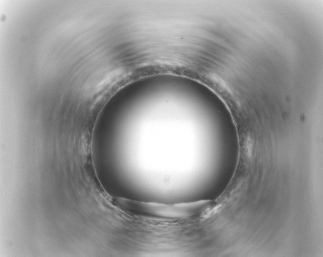 X0000088911110200706221922