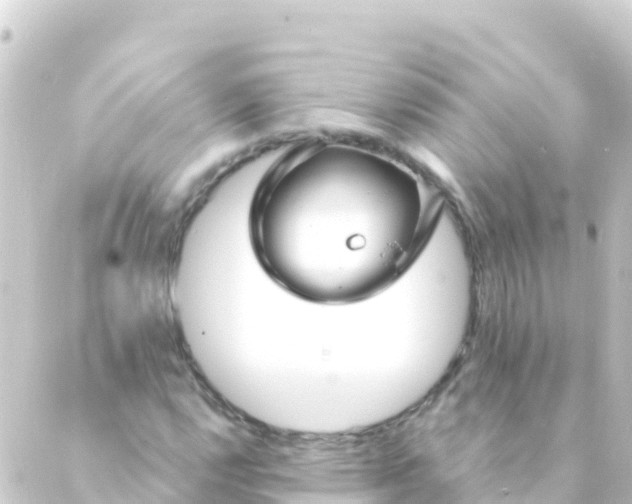 X0000088911112200706221922