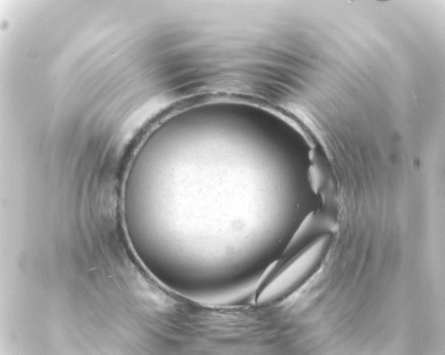 X0000088911115200706221922