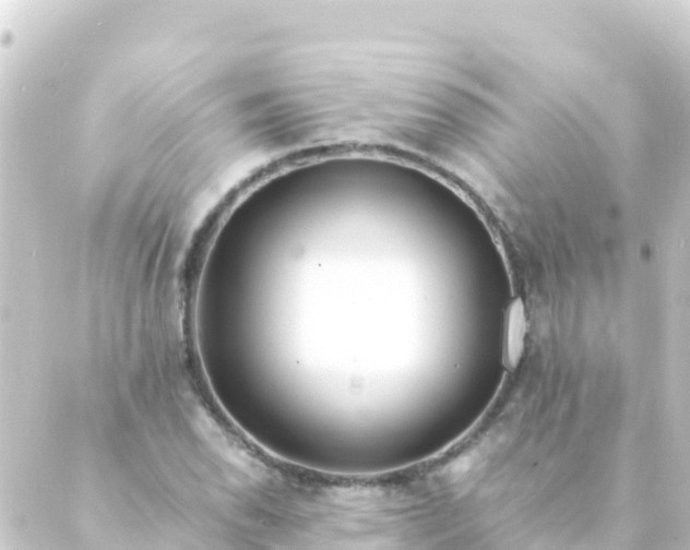 X0000088911118200706221922