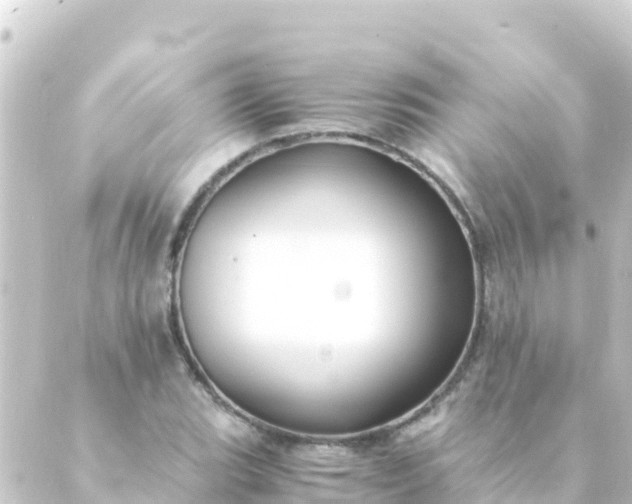 X0000088911119200706221923