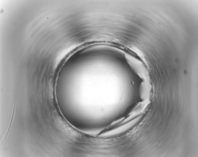 X0000088911120200706221923