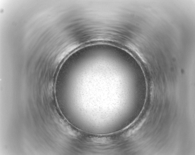 X0000088911121200706221923