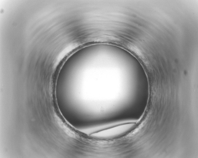 X0000088911122200706221923