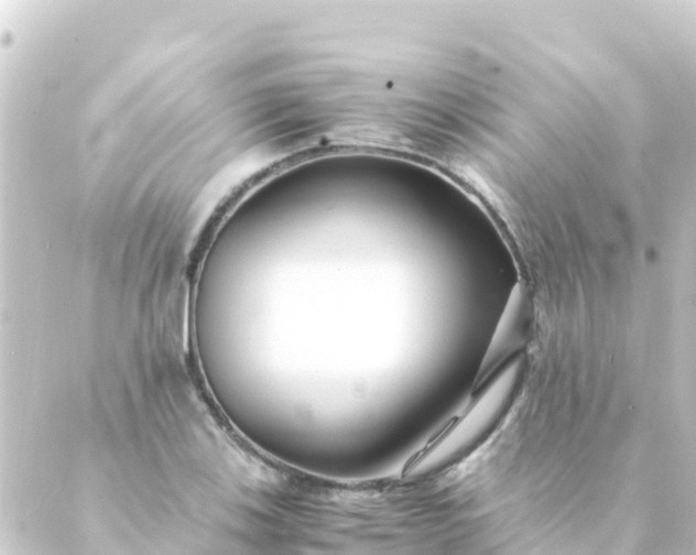 X0000088911123200706221923