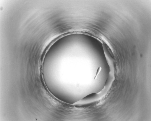 X0000088911124200706221923