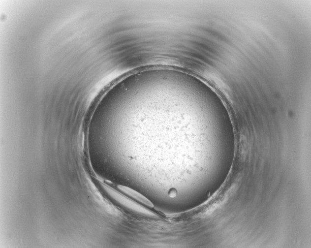 X0000088911125200706221923