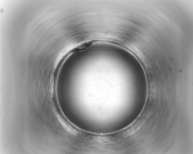 X0000088911128200706221923