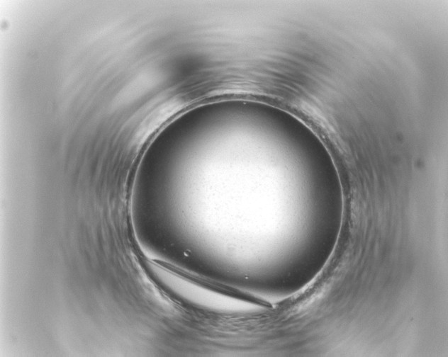 X0000088911129200706221923