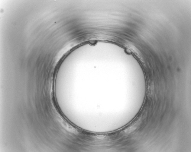 X0000088911130200706221923