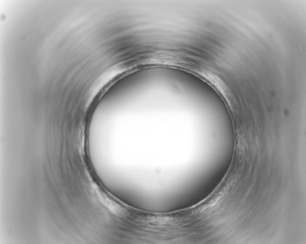 X0000088911131200706221923