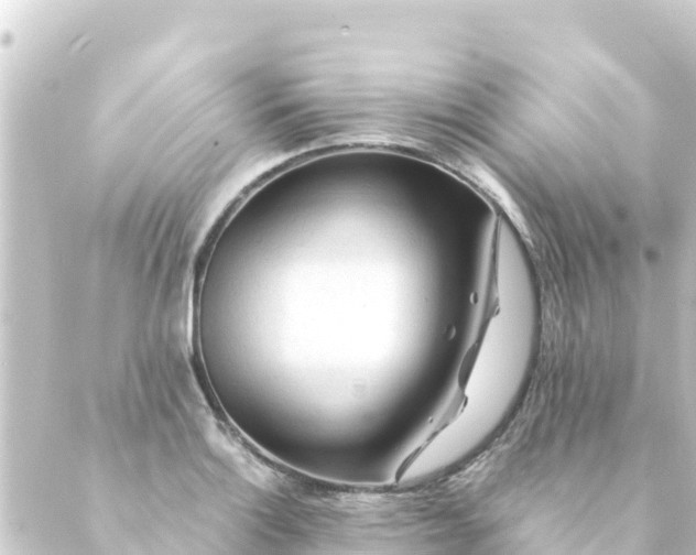 X0000088911132200706221923