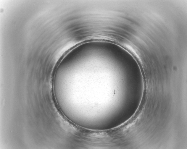 X0000088911133200706221923