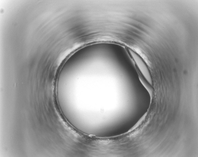 X0000088911134200706221923