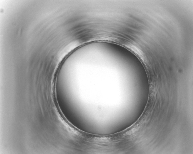 X0000088911135200706221923