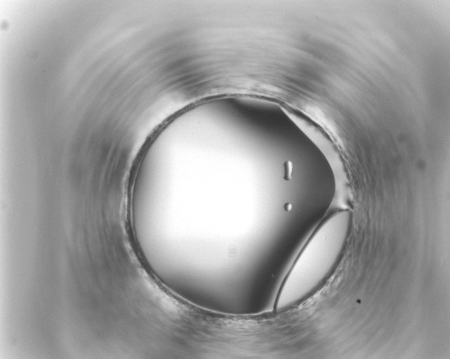 X0000088911136200706221923