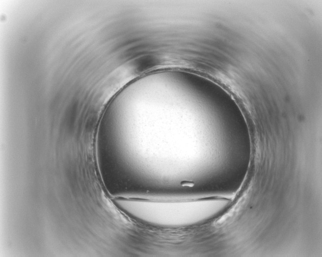 X0000088911137200706221923