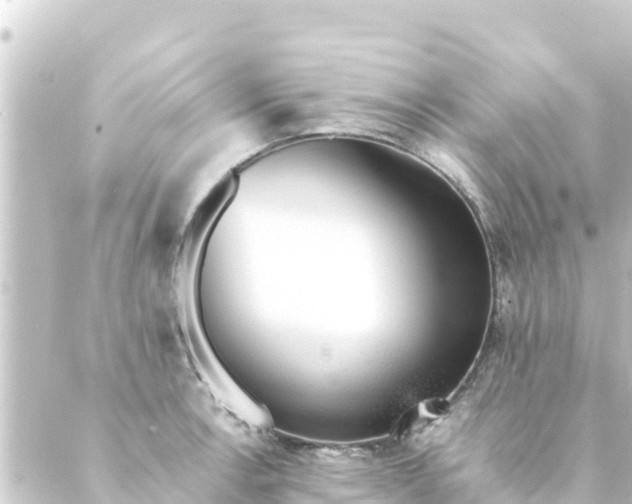 X0000088911138200706221923