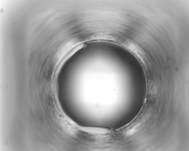 X0000088911140200706221923