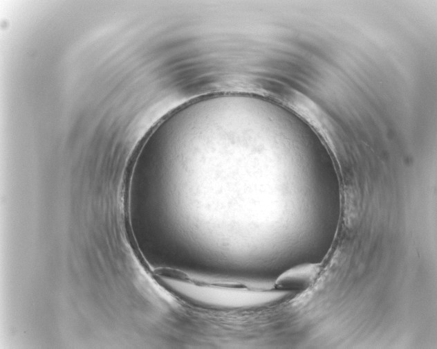 X0000088911141200706221923