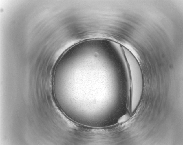 X0000088911142200706221923