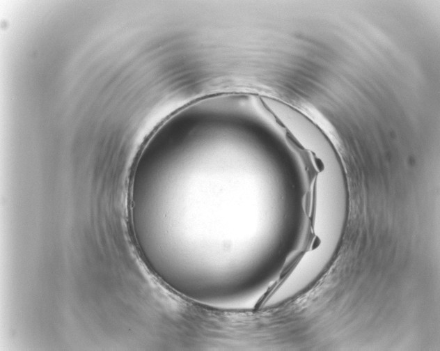 X0000088911144200706221923