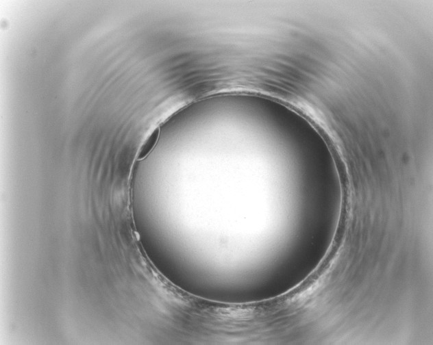 X0000088911145200706221923