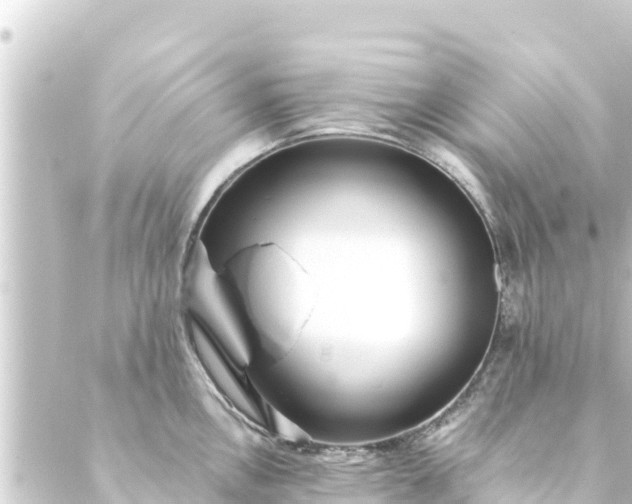 X0000088911146200706221923