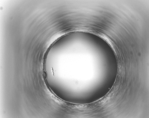 X0000088911147200706221923