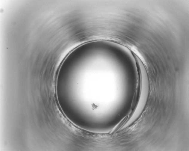 X0000088911148200706221923