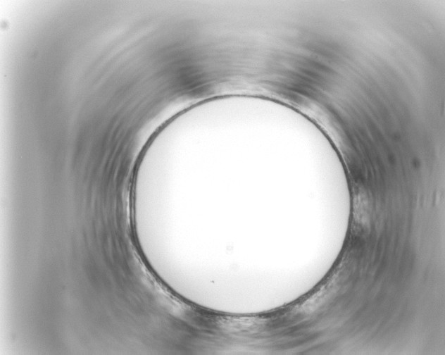 X0000088911150200706221923