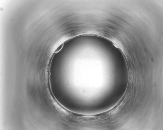 X0000088911151200706221923