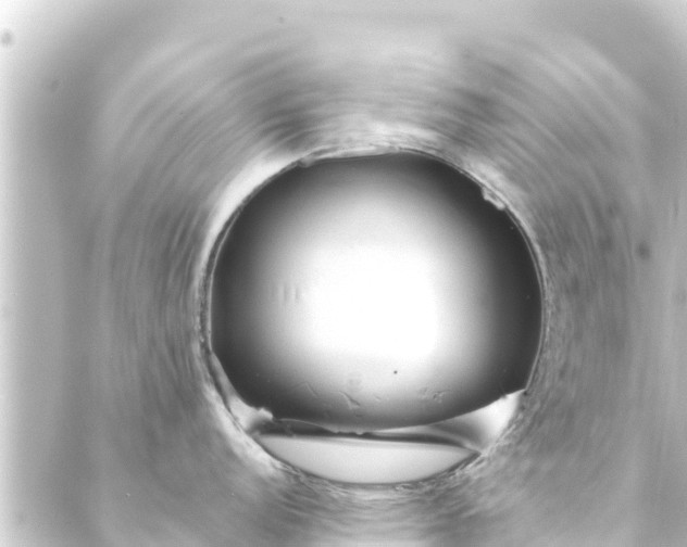 X0000088911152200706221923