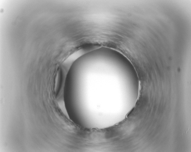 X0000088911153200706221922