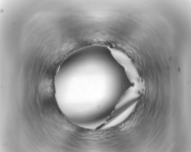 X0000088911156200706221922