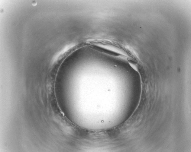 X0000088911159200706221922