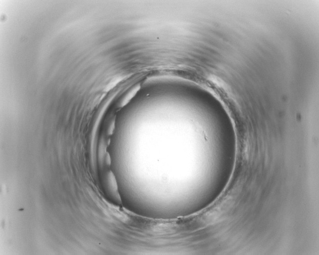 X0000088911161200706221922