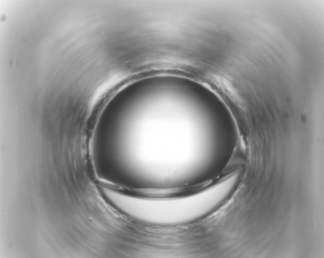 X0000088911164200706221922