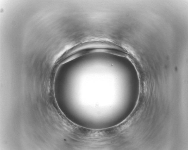 X0000088911165200706221922