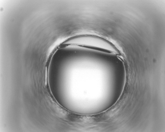 X0000088911175200706221922