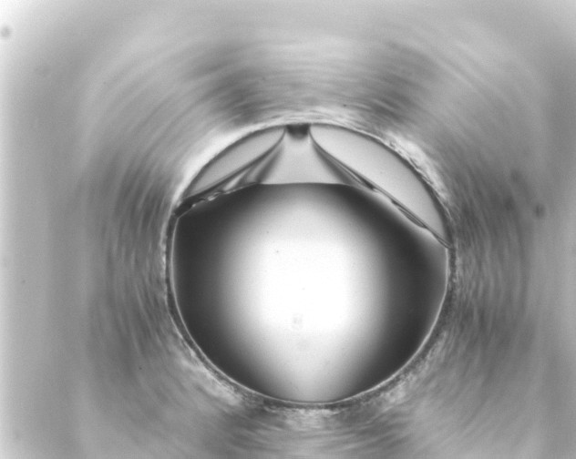 X0000088911184200706221922