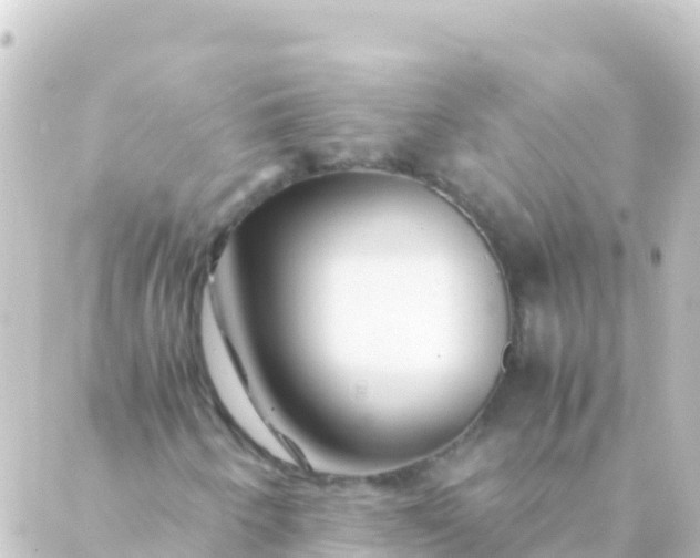 X0000088911250200706221921